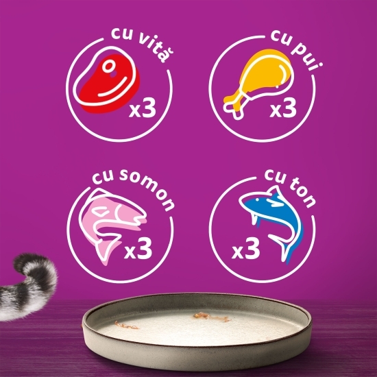 Hrană umedă pentru pisici adulte, 12x85g, Selecții de carne în aspic cu vită, pui, somon, ton