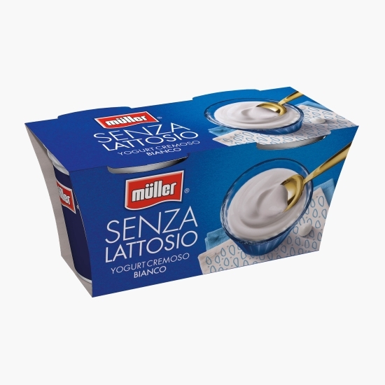 Iaurt natural fără lactoză 2x125g