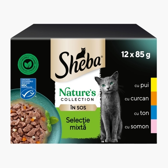 Hrană umedă pentru pisici adulte, selecție mixtă în sos 12x 85g