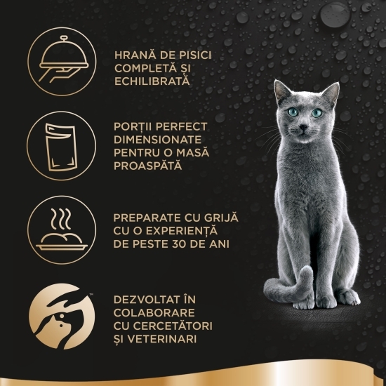 Hrană umedă pentru pisici adulte, 6x50g, cu pui și vită