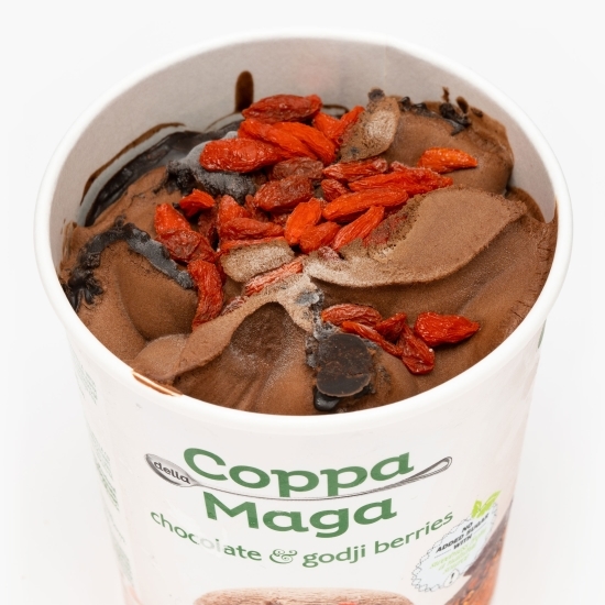 Înghețată vegană cu ciocolată și goji 300g