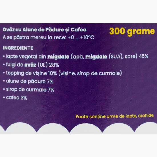 Budincă de ovăz cu alune de pădure și cafea, fără zahăr adăugat 300g