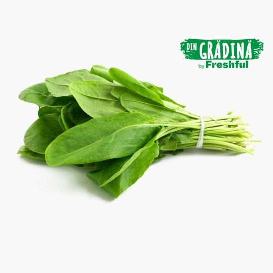 Ștevie eco România minim 150g, Bioferma Niculești