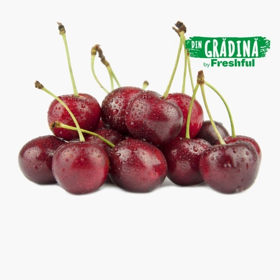 Cireșe eco România 500g