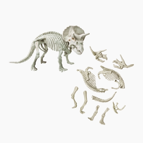 Ddescoperă dinozaurul Triceratops, +6 ani
