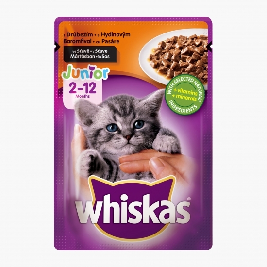 Hrană umedă pentru pisici junior, 100g, cu carne de pasăre în sos