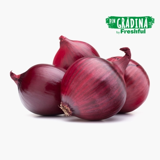 Ceapă roșie fileu 500g