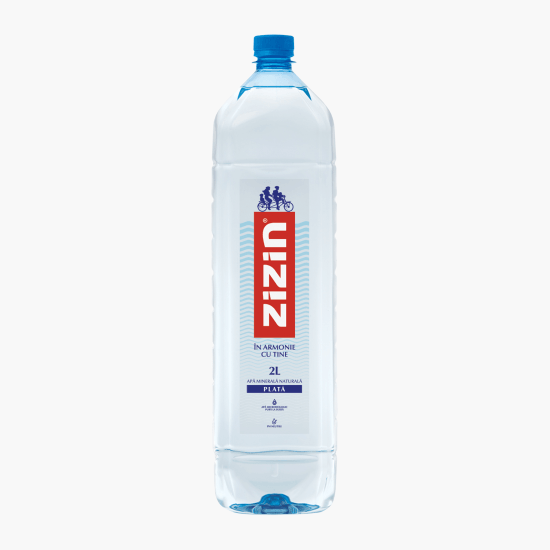 Apă minerală naturală plată 2l