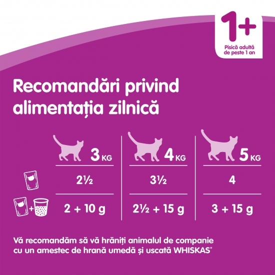 Hrană umedă pentru pisici adulte, 85g, cu vită în aspic
