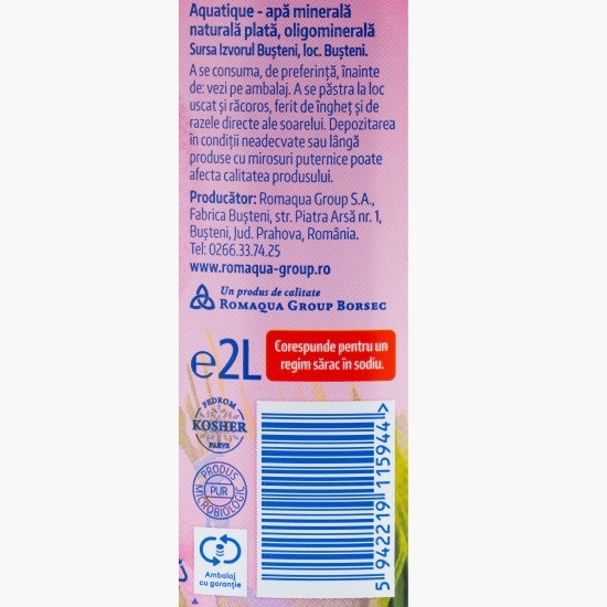 Apă minerală naturală plată 2l
