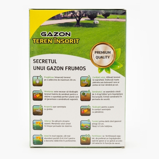 Gazon pentru teren însorit 1kg