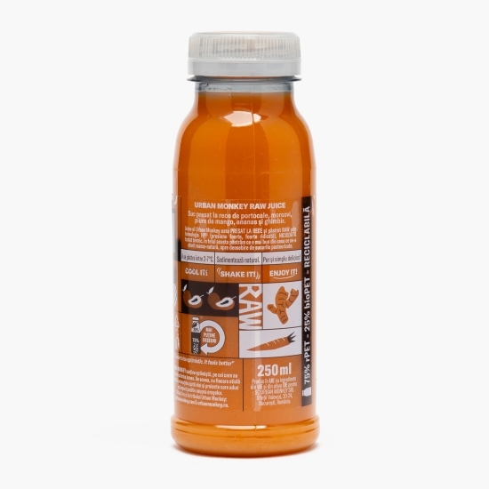 Raw juice Mango Ninja 0.25l