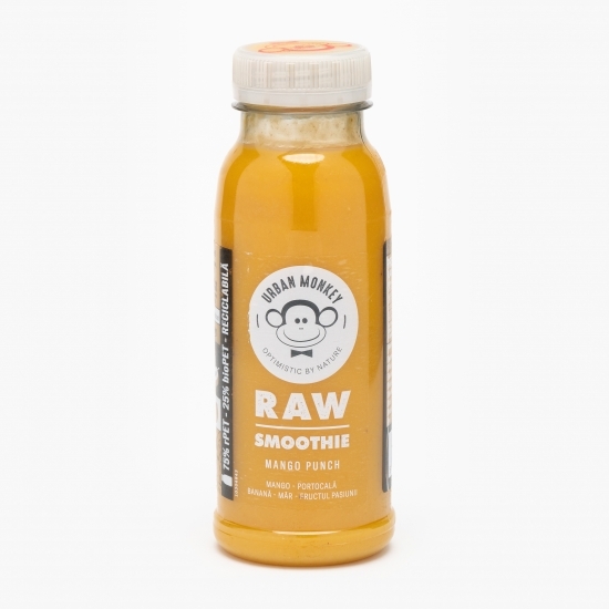 Raw smoothie mango punch 0.25l