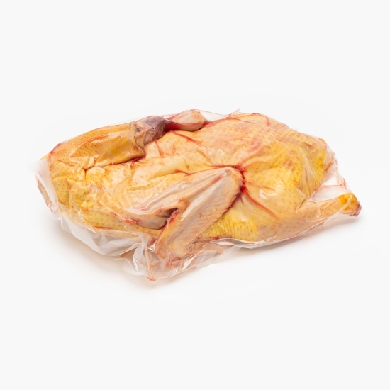 Rață de curte 1.6kg