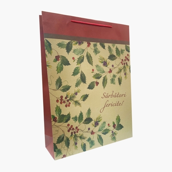 Pungă cadou mare (37x50x13cm)