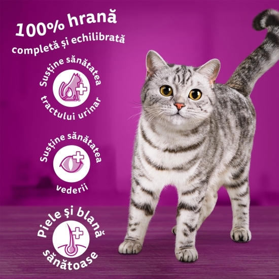 Hrană uscată pentru pisici adulte 1.4kg, cu pui