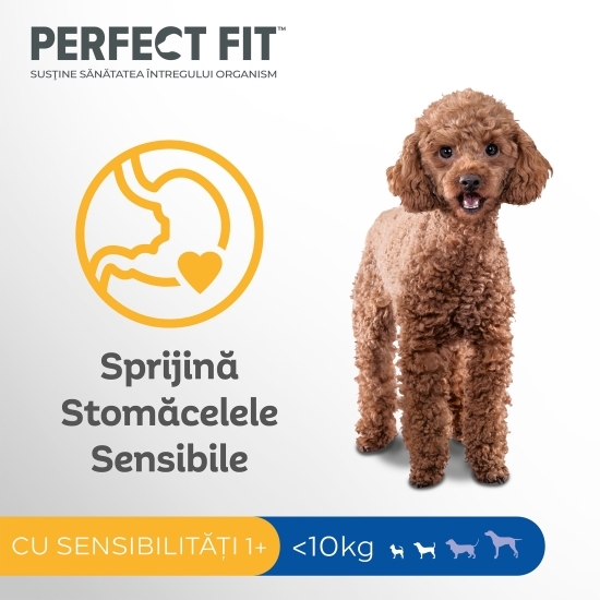 Hrană uscată pentru câini adulți de talie mică, 1.4Kg, Sensitive 1+, cu curcan