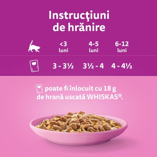 Hrană umedă pentru pisici junior, 85g, cu pui în aspic 