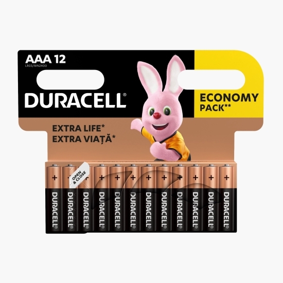 Baterii alcaline Basic AAA, 12 buc