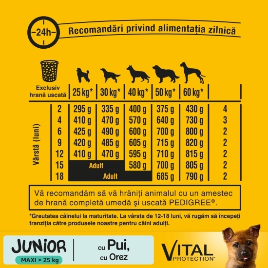 Hrană uscată pentru câini Junior de talie mare, 15kg, cu pui și orez