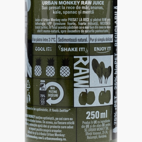 Raw juice Iron WOWman 0.25l