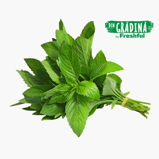 Mentă eco 50g