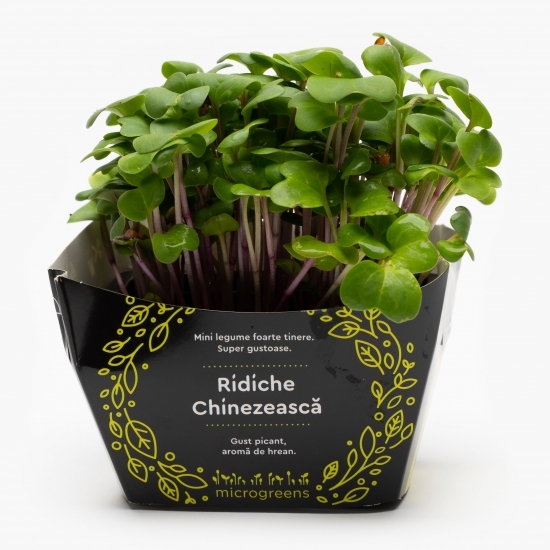 Mix de microplante picante (ridiche roșie, muștar, chives, ridiche chinezească)