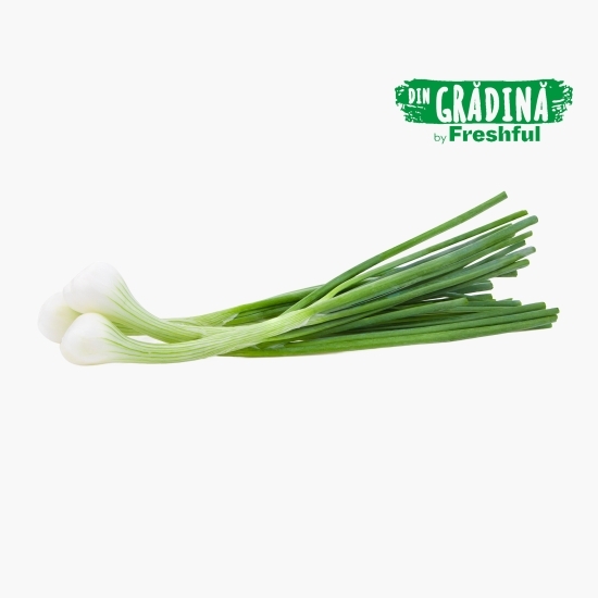 Ceapă verde, proaspăt culeasă 1 legatură