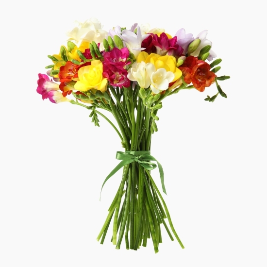 Buchet frezii colorate 25 fire