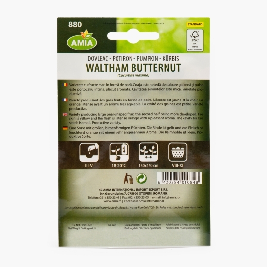 Semințe dovleac plăcintar Walham Butternut 1g