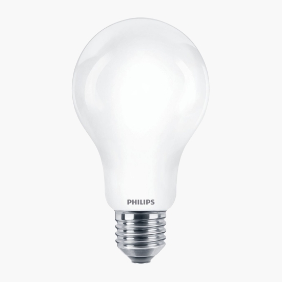 Bec LED clasic Cool Daylight 120W A67 E27 