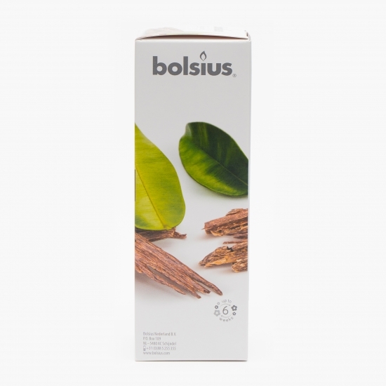 Odorizant cu beţişoare pentru casă Lemn oud