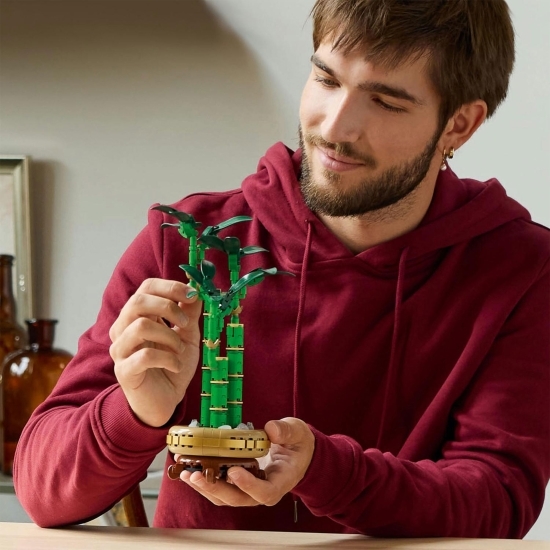 Bambus Norocos, 10344 Botanicals, 325 piese, +18 ani