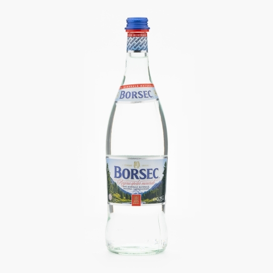 Apă minerală naturală carbogazoasă sticlă 0.75l