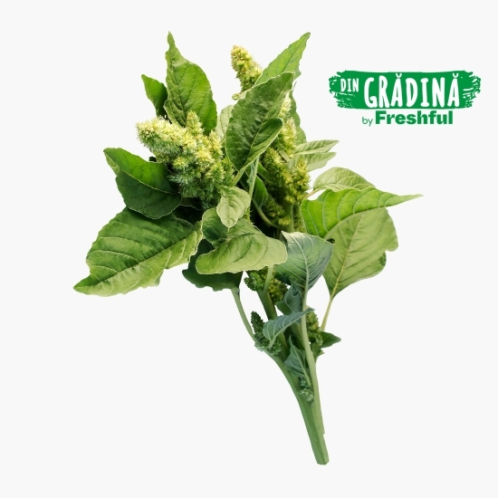 Știr eco România (Bioferma Niculești) 100g