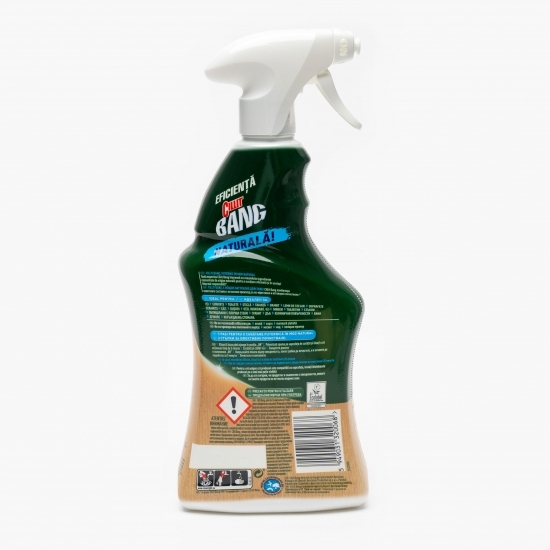 Detergent suprafețe spray curățare calcar în mod natural 0.75l