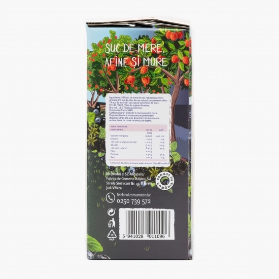 Suc de mere, afine și mure 3l