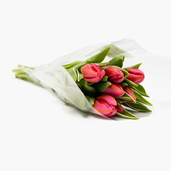 Buchet lalele, 7 fire