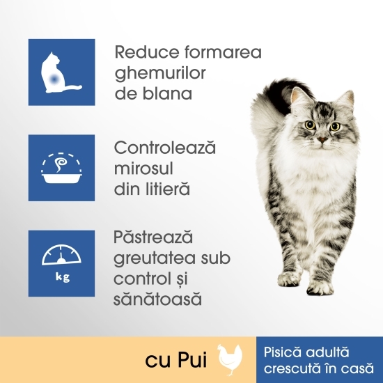 Hrană uscată pentru pisici de interior adulte, 1.4kg, cu pui