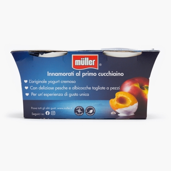 Pachet iaurt cu bucăți de piersici și caise 2x125g