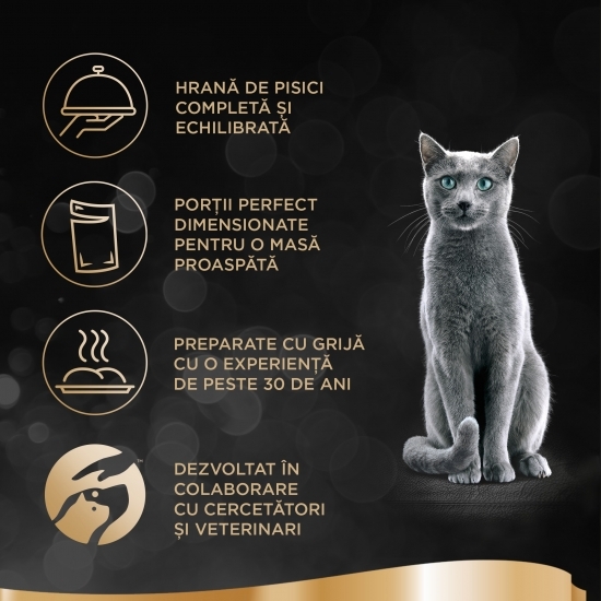 Hrană umedă pentru pisici adulte, 85g, cu pui și vită în sos 