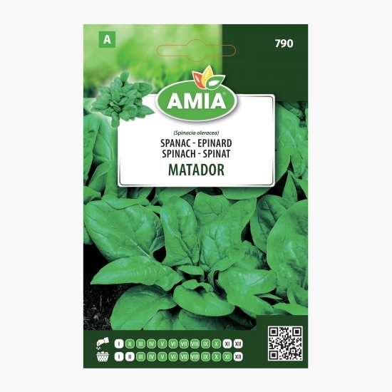 Semințe spanac Matador 10g