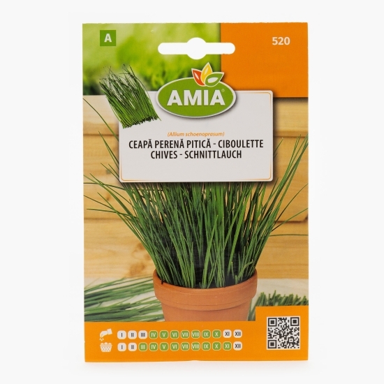 Semințe de ceapă perenă pitică 1g