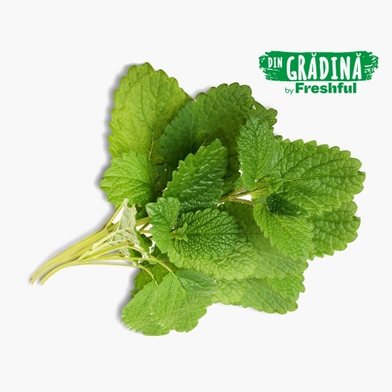 Roiniță eco 50g