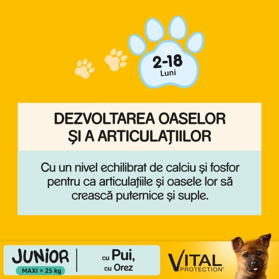 Hrană uscată pentru câini Junior de talie mare, 15kg, cu pui și orez