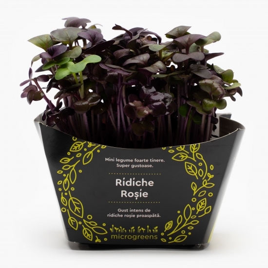 Mix de microplante picante (ridiche roșie, muștar, chives, ridiche chinezească)