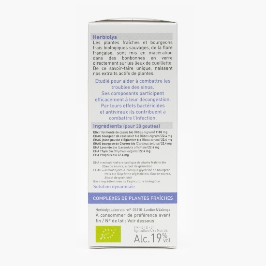Complex de plante proaspete eco pentru sinusuri 50ml