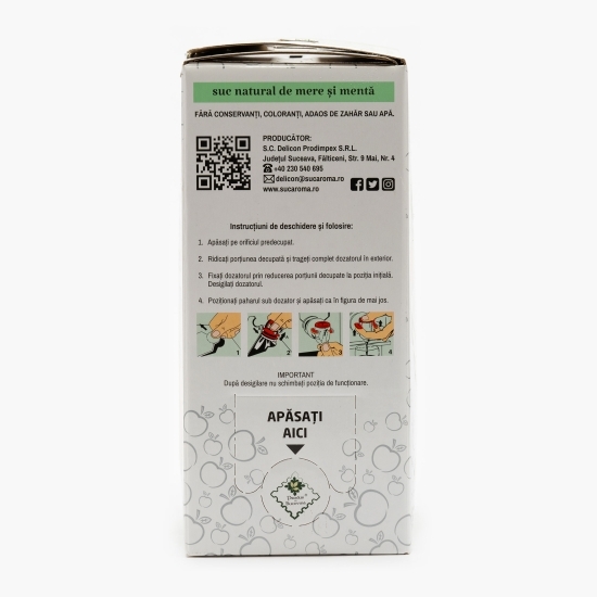 Suc natural de mere și mentă 3l