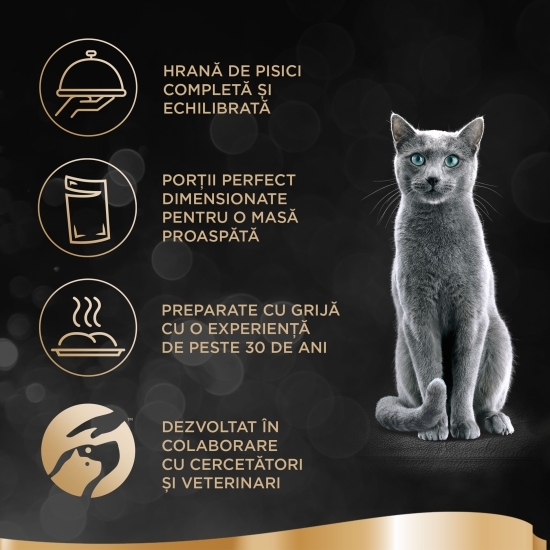Hrană umedă pentru pisici adulte, 85g, cu ton în aspic Delikatesse