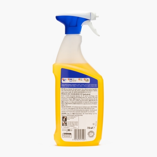 Degresant Ultra Puternic Professional 0.75l